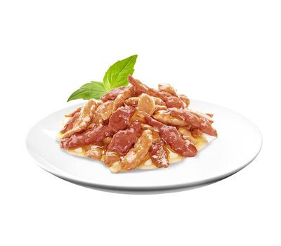 پوچ گربه شبا طعم خرگوش در ژله وزن 75 گرم- روسیه